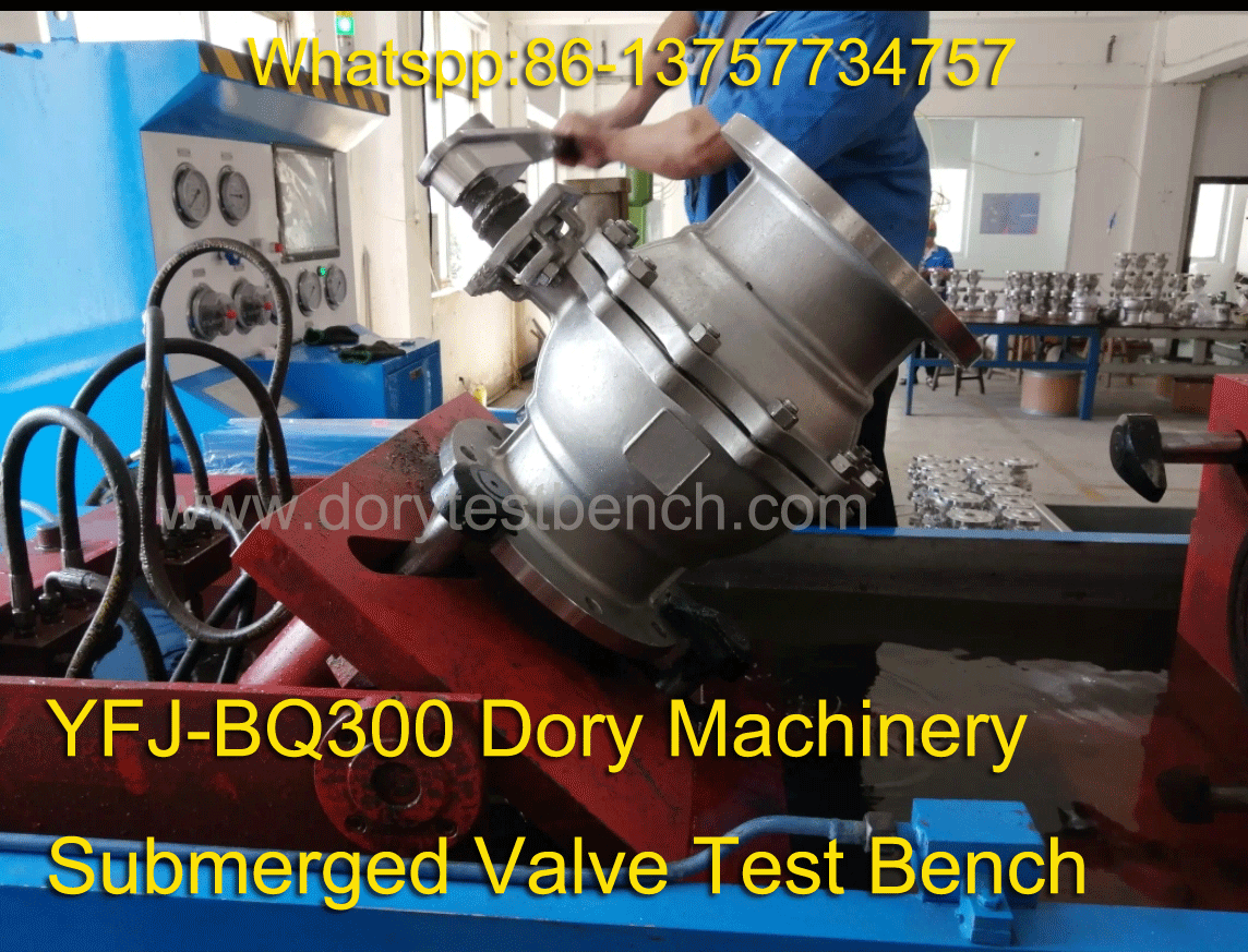 Dory Valve Test Bench 