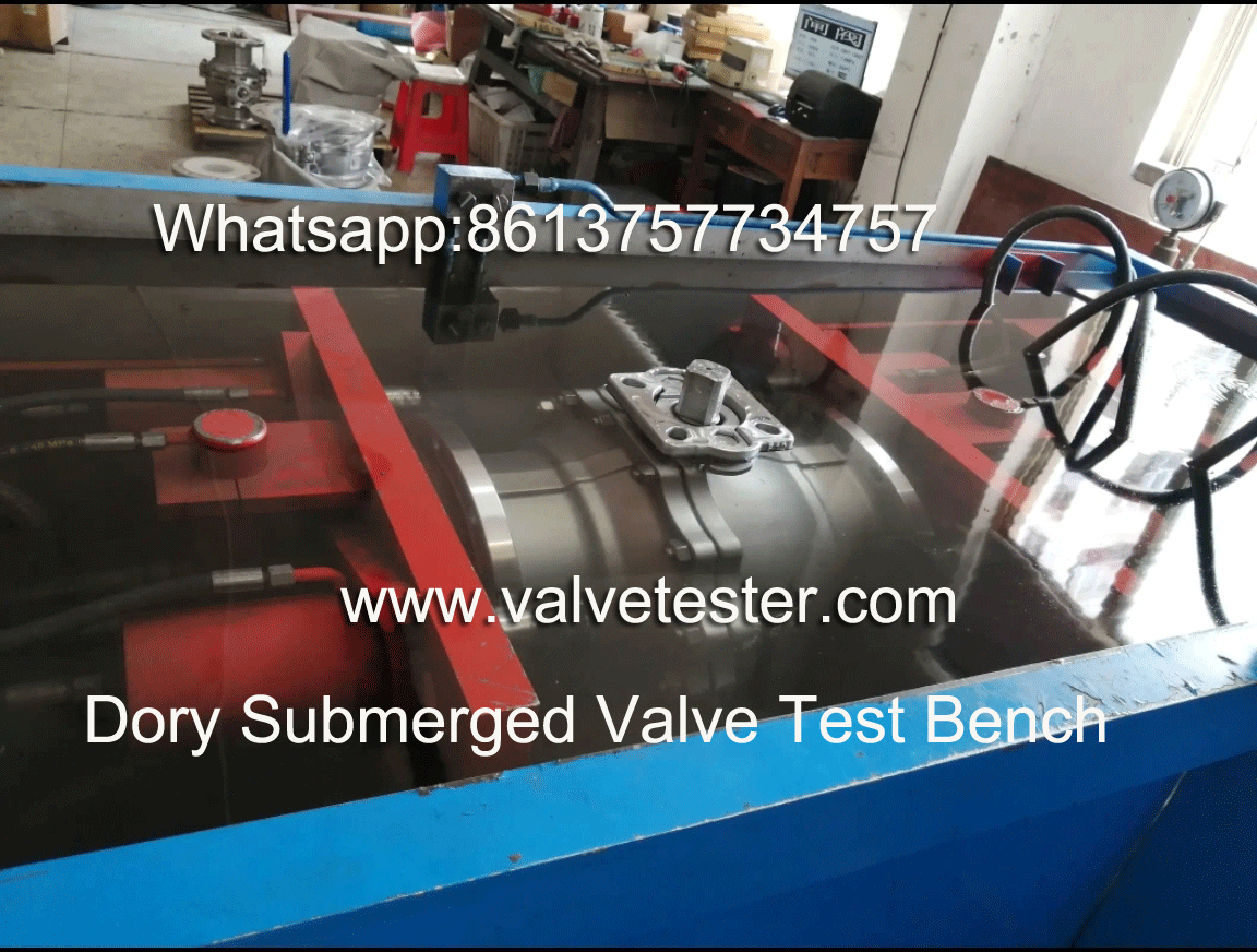 SUbmerged Dory Valve Test Bench